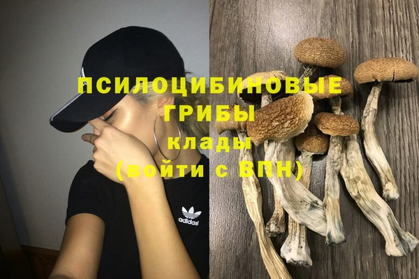дживик Лабытнанги