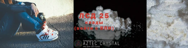 крисы Кукмор